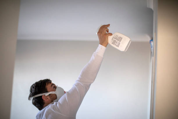 Best Local Mold Removal Service  in Poplar Bluff, MO